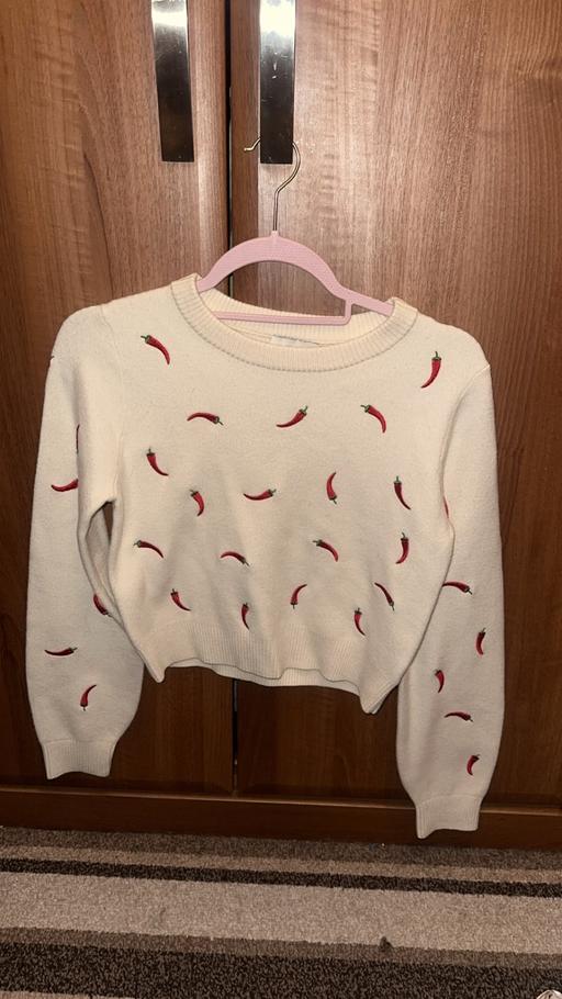  — Women’s cute crop chilli jumper