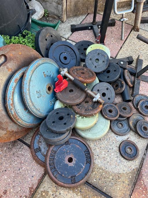  — Weights and Gym Equipment NEED IT GONE TODAY