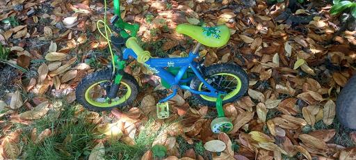  — child cycle