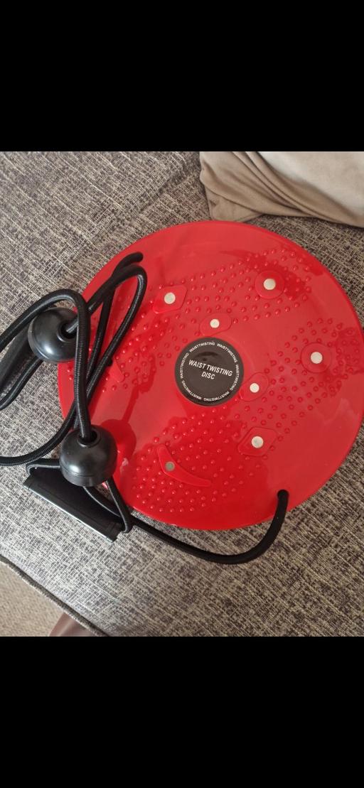  — waist twisting disc