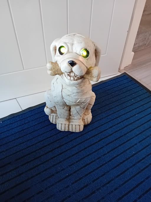  — mummified Halloween dog