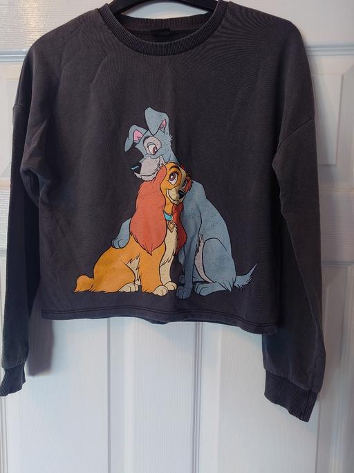  — Girls lady and the tramp jumper size 11/12