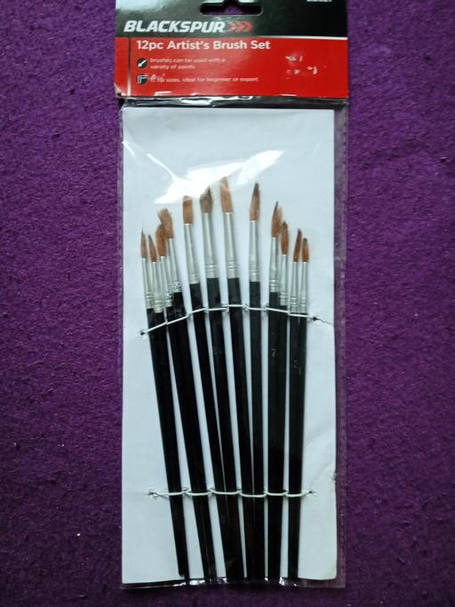  — new pack of 12 Artists paint brush set