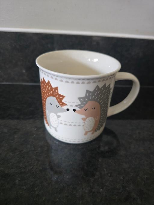  — Hedgehog mug