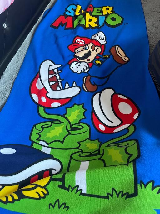  — Mario Towel