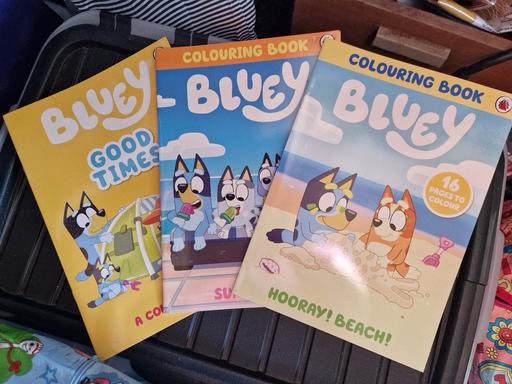  — bn 3 x Bluey colouring books
