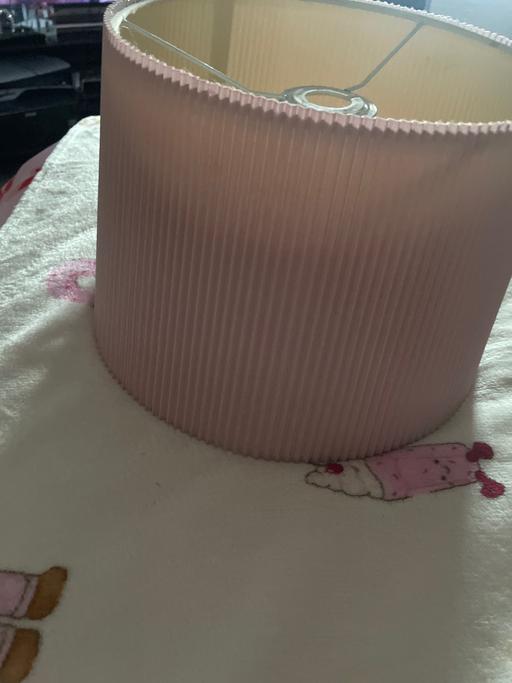  — Pink Lampshade