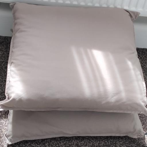  — brown cushions
