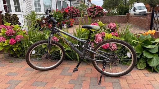  — Apollo Creed Junior Mountain Bike