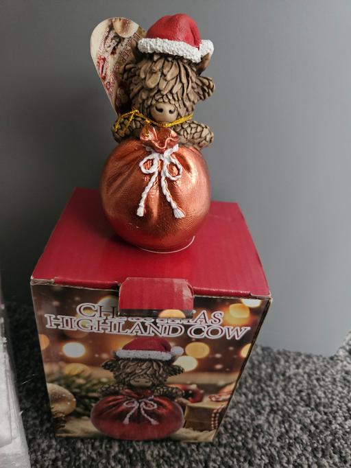  — bnib highland cow