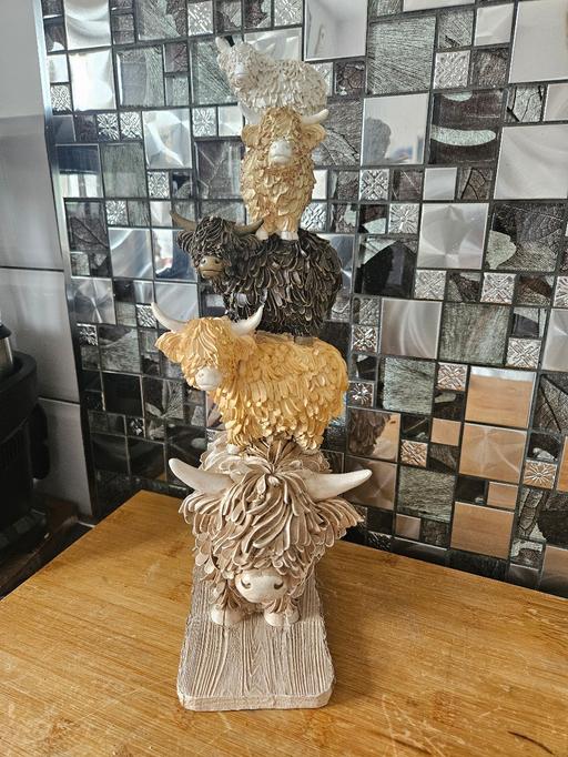  — new next highland cow