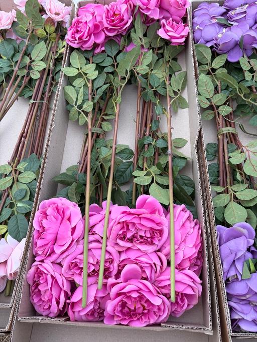  — Long stem roses