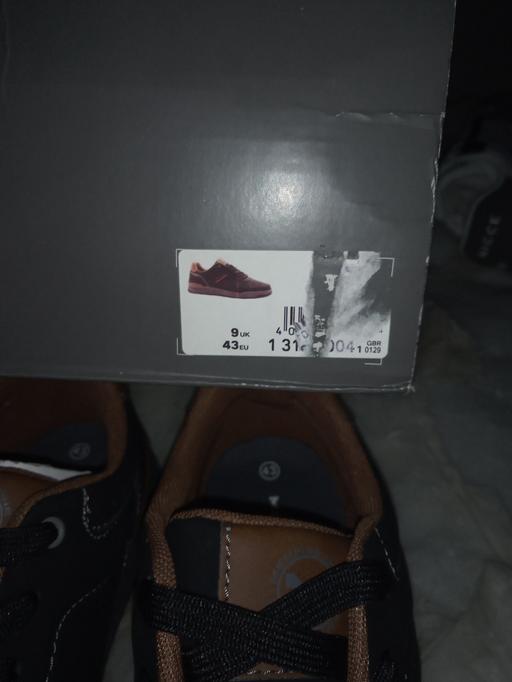  — Memphis trainers