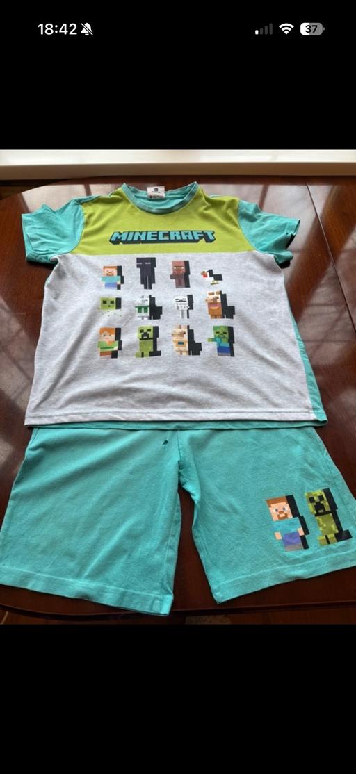  — Minecraft t-shirt and shorts