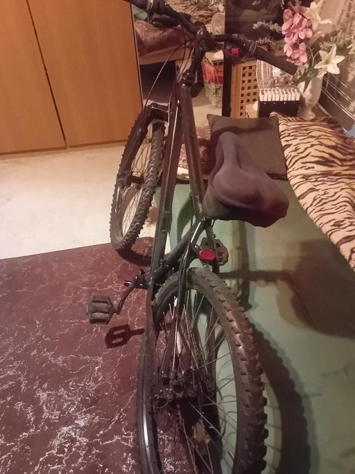  — Apollo mountain  bike
