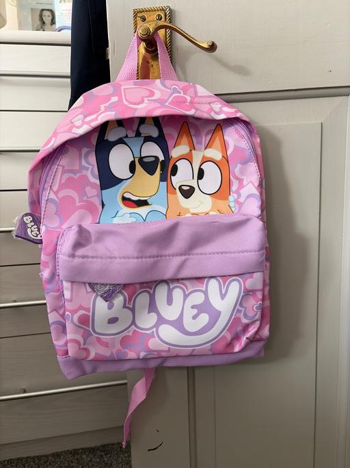  — Girls Bluey backpack