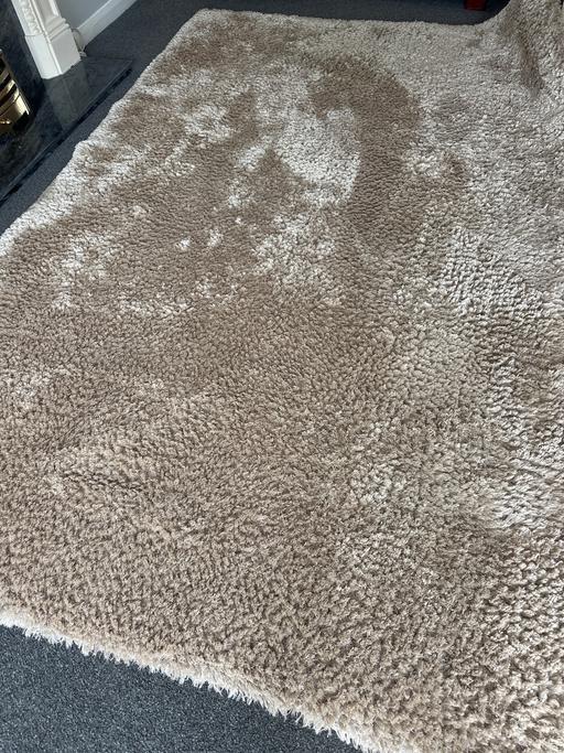  — Rug