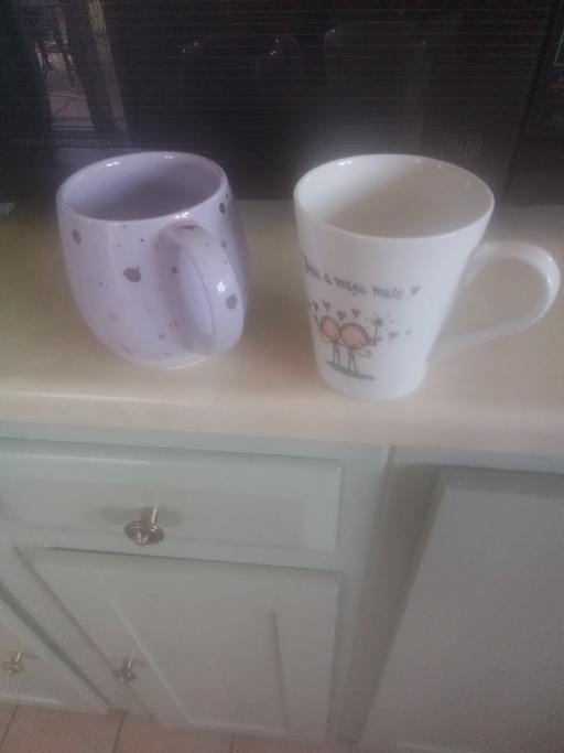  — TWO MUGS