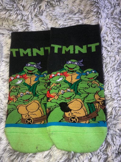  — Turtle socks