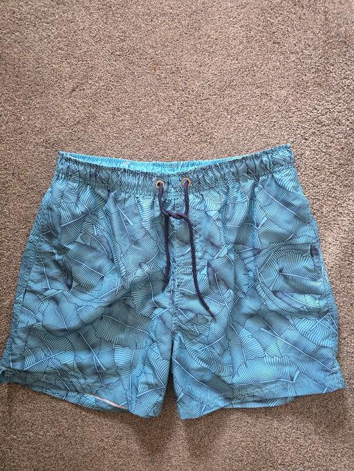  — Red Herring mens swimming shorts