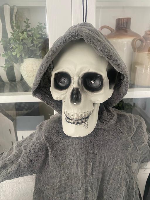  — Halloween animated skeleton grim reaper