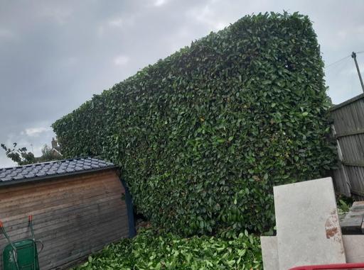  — landscapes and gardening