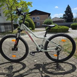 fahrradtaschen mit koffer wasserdicht Forrider Fahrradtasche für Gepäckträger [25L] Schultergurt & Reflektoren | Fahrrad Gepäckträgertasche E-Bike Display Color:Ocean Blue/Dark Gray Fiido D11 Klapprad Urban