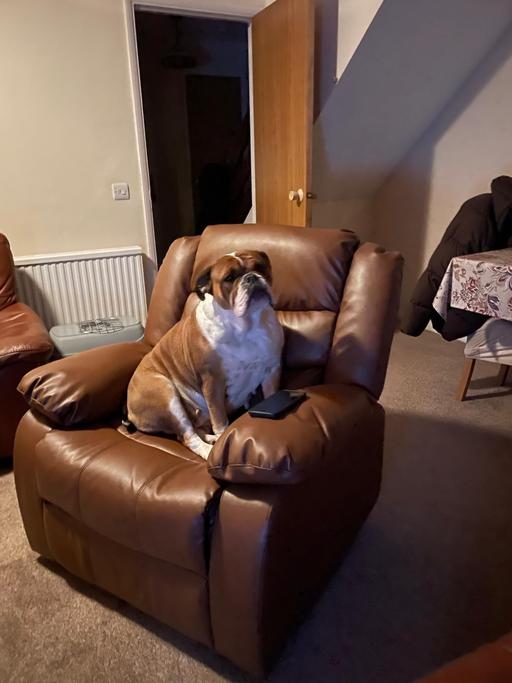  — leather manual recliner armchair