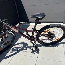 fuji e-bike fully 2021 Boulevard EVO USA Electric bike Mayonnaise selbst gemacht und cassette__12-speed Wähle dein Motiv:Marienkäfer The Fuji Power Pack