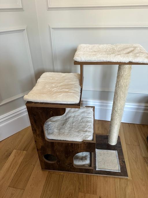  — CAT SCRATCHING POLE