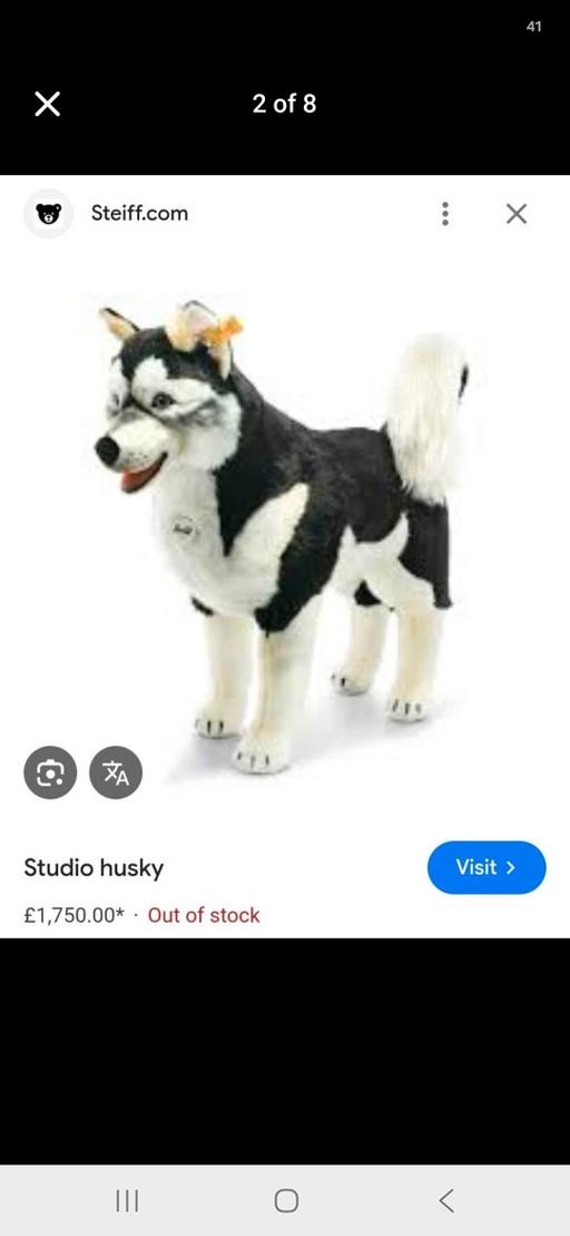  — steiff husky dog