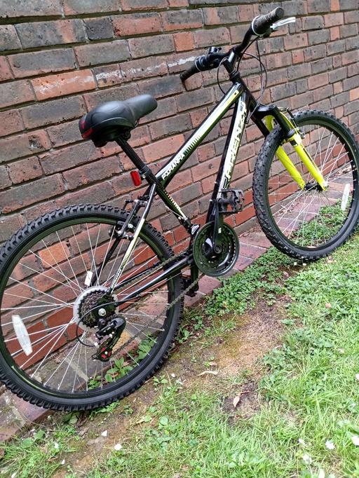  — Mountain bike/ Frenzy Piranha.
