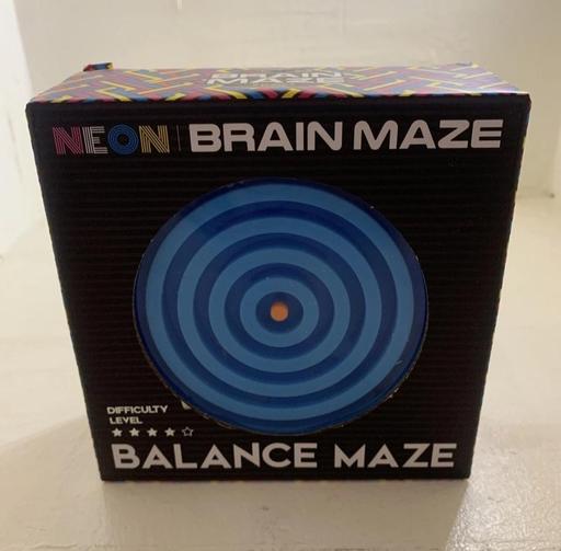  — Brain maze