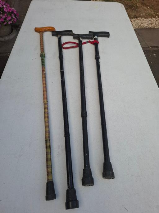  — walking sticks