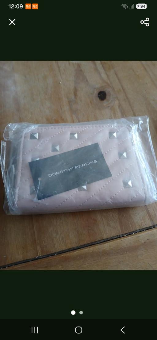 — NEW PURSE  BLUSH DOROTHY PERKINS PAID £10
