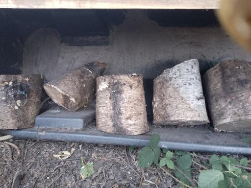  — Tree stump pieces.