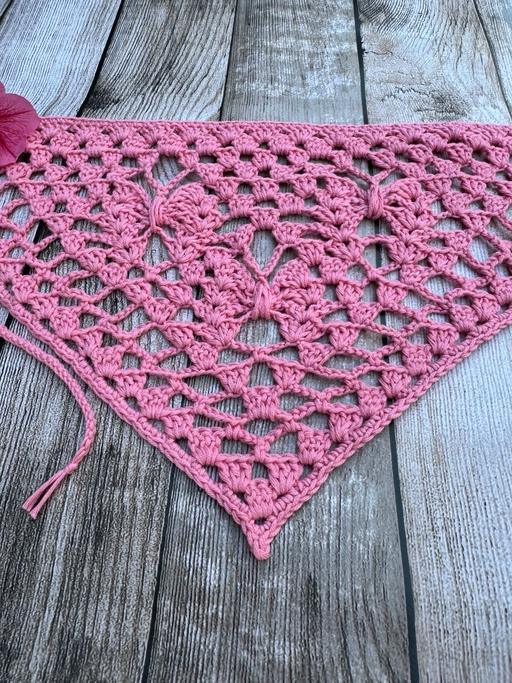  — Triangle bandana