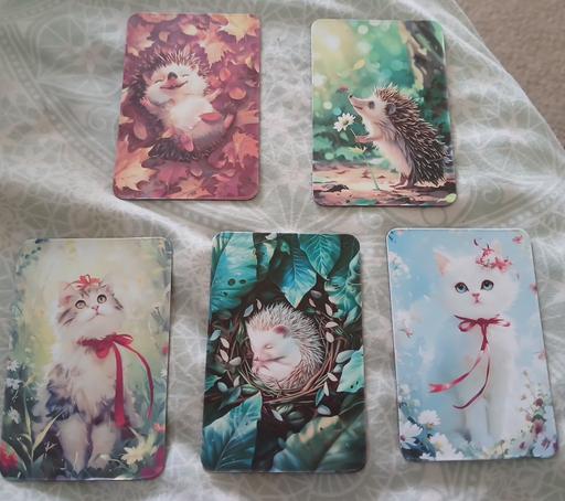  — Fridge Magnets)