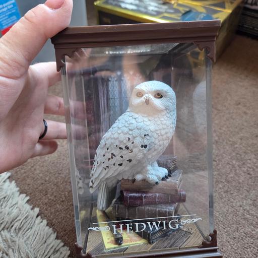  — HARRY POTTER HEDWIG