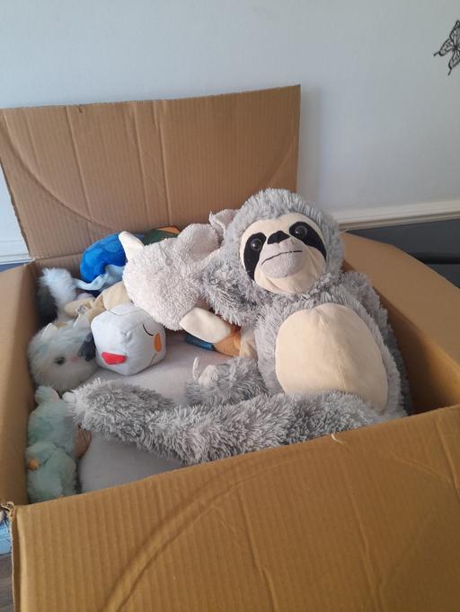  — Huge amount of cuddly toys