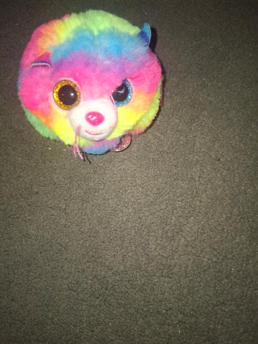  — ty teddy