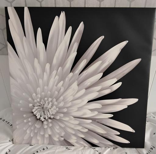  — Flower picture
