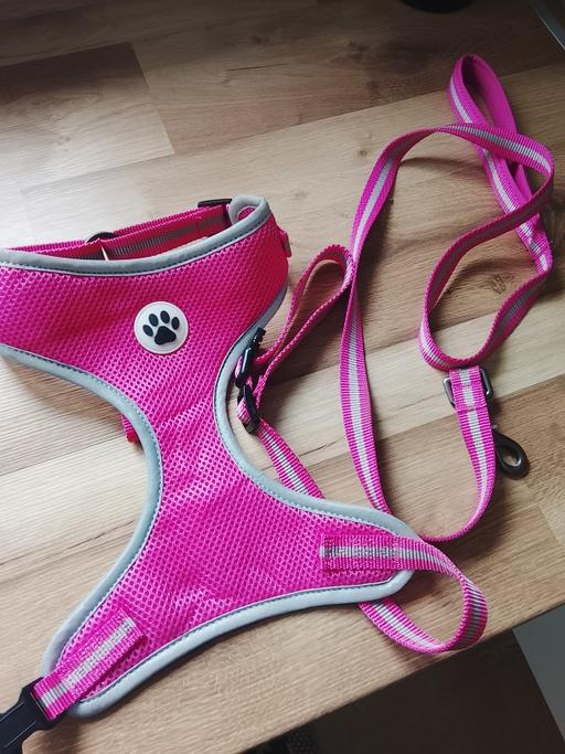  — dog harness and lead