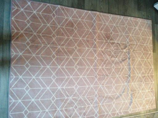  — rug   43  x  63inch