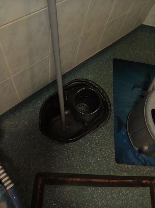  — household cleaning