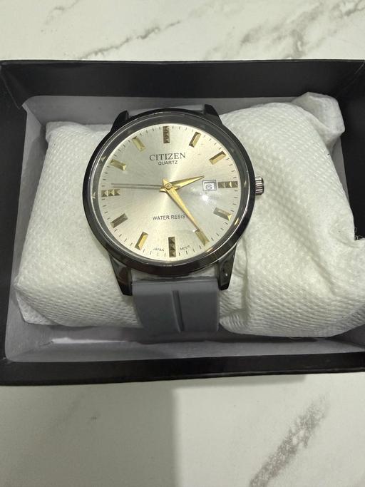  — Prestige Citizen watch with grey strap