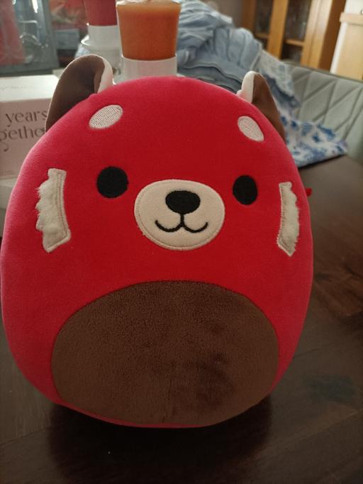 — red squashamellow