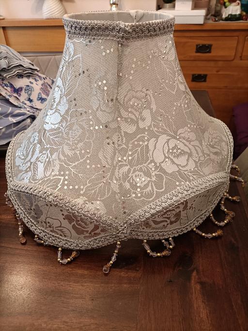  — gorgeous silver lampshade