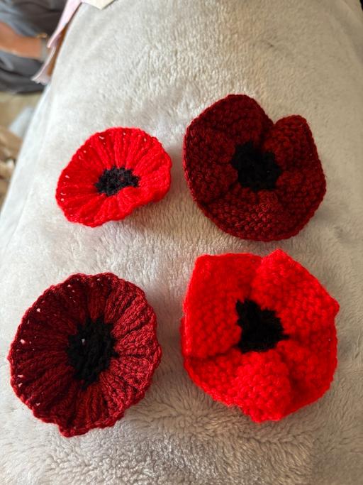  — Remembrance Poppies