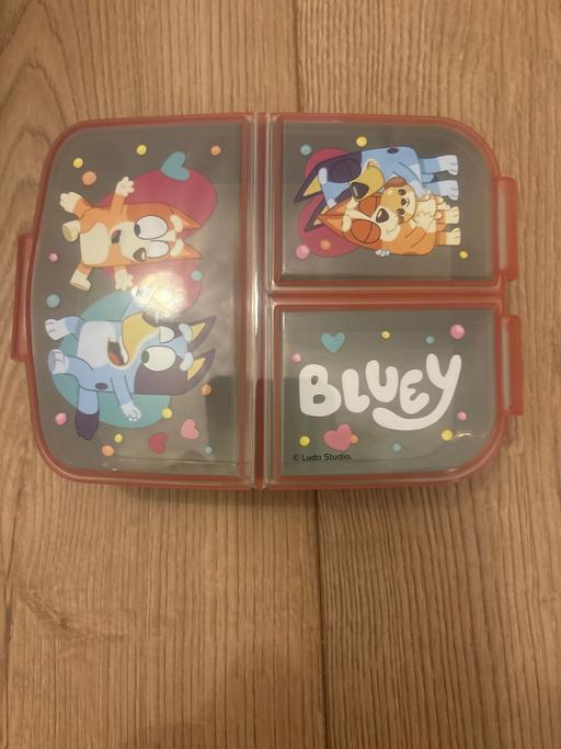  — bluey box